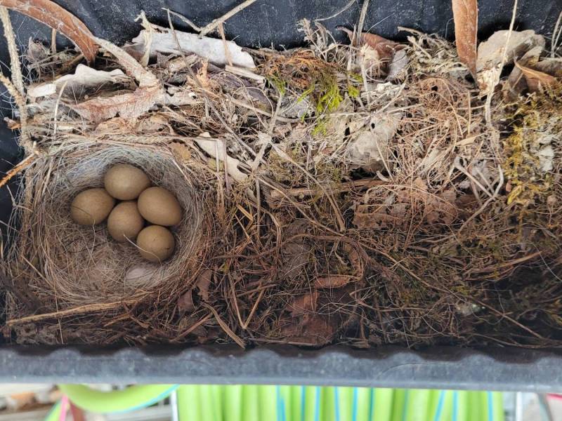 La nature vient à nous !